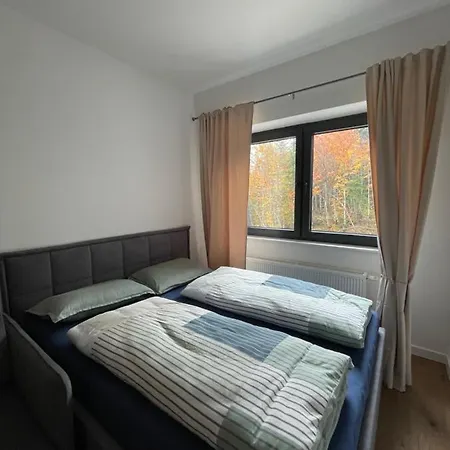 Virgin Forest * Bjelašnica